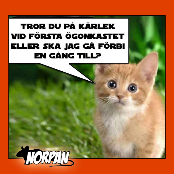 2. Tror du på kärlek vid första ögonkastet