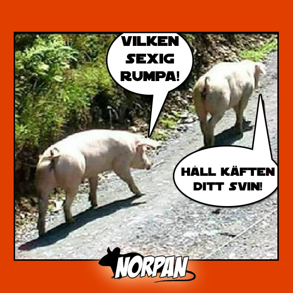 3. Vilken sexig rumpa