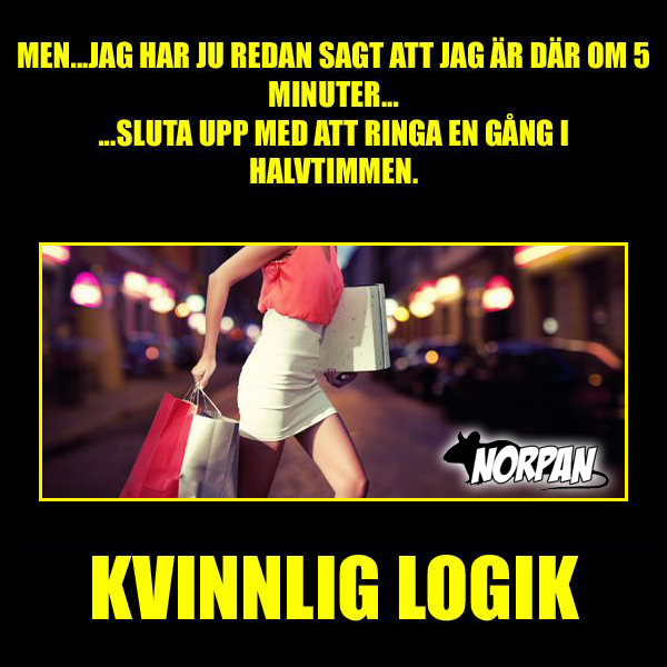 6. Kvinnlig logik