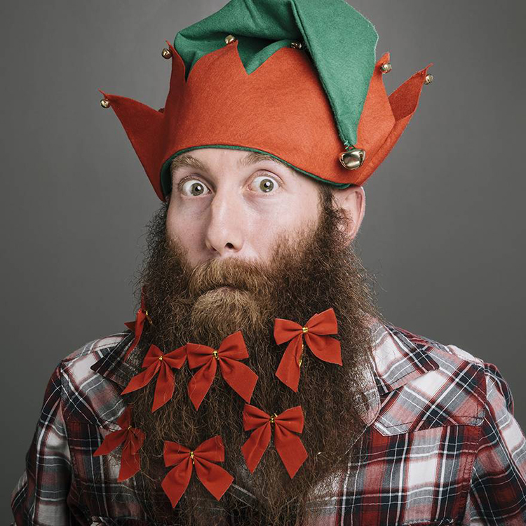 Julskägg 9