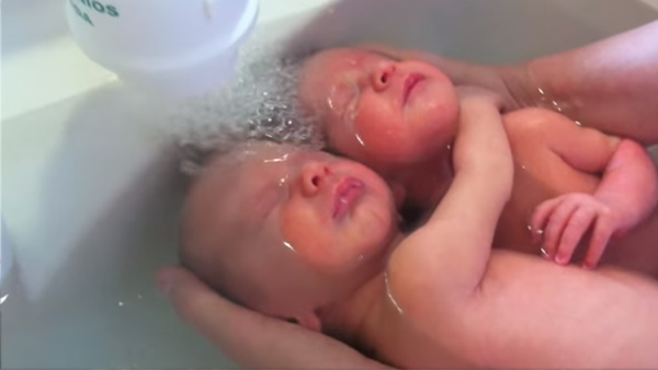 De här nyfödda tvillingarna tror fortfarande att de är i sin mammas mage