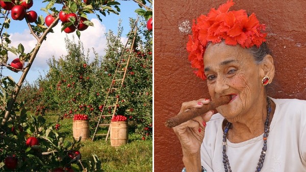 Hans kommentar till frugan får henne att gå i taket - men hennes kontring är helt underbar